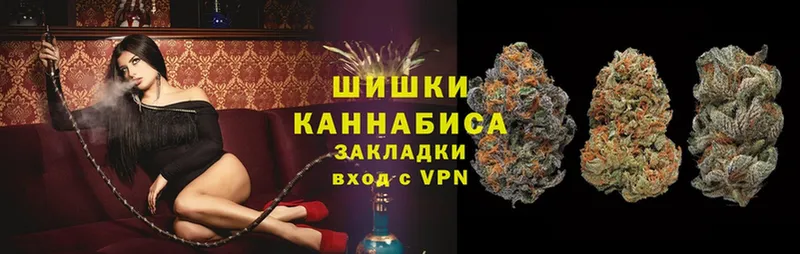 Бошки марихуана OG Kush  сайты даркнета как зайти  Шуя 